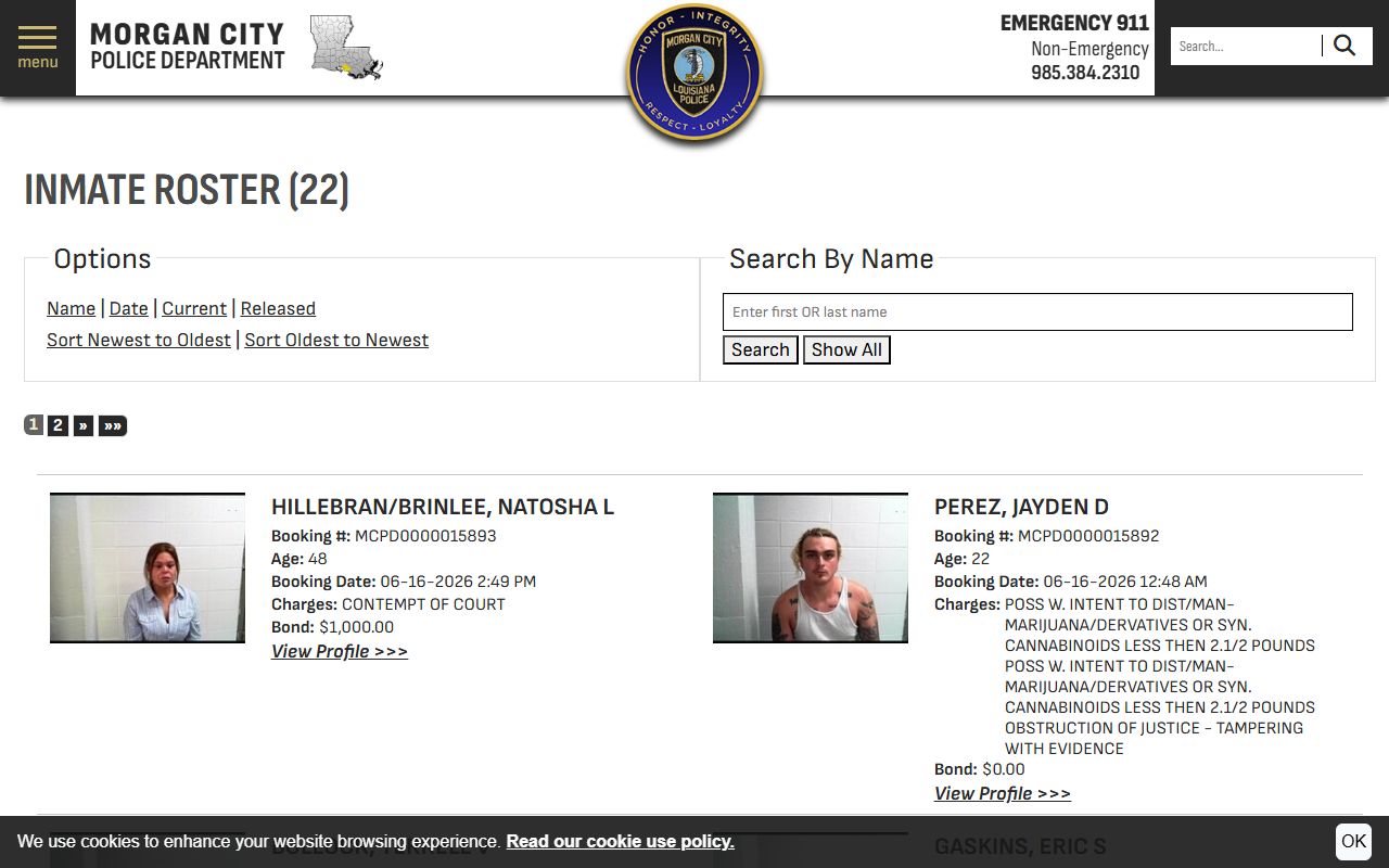 Morgan City Police Department current inmate roster with search controls and booking entries